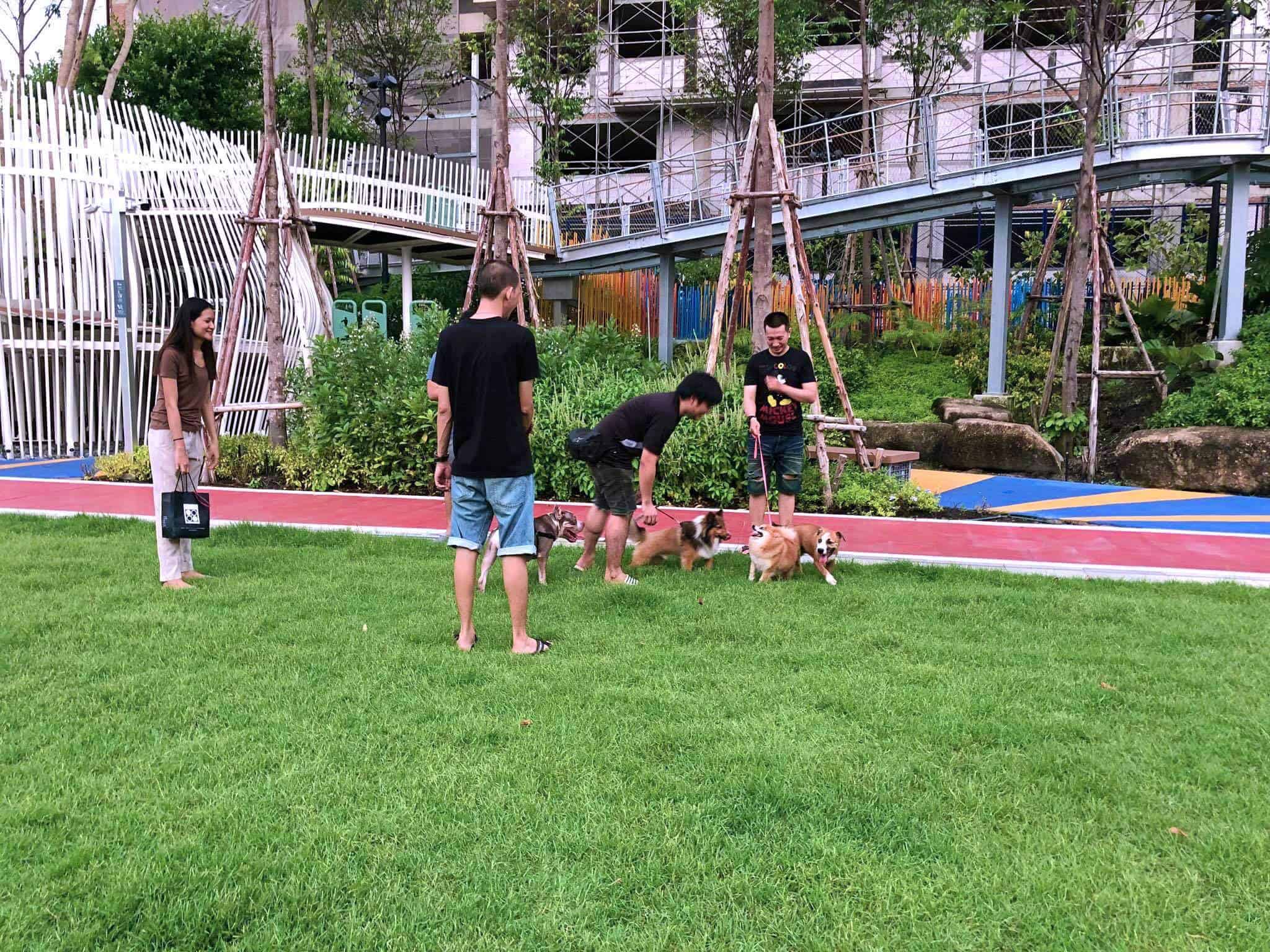 61040392_2430918903637831_4645679864236474368_o Mega Park (Megabangna เมกาบางนา) 1