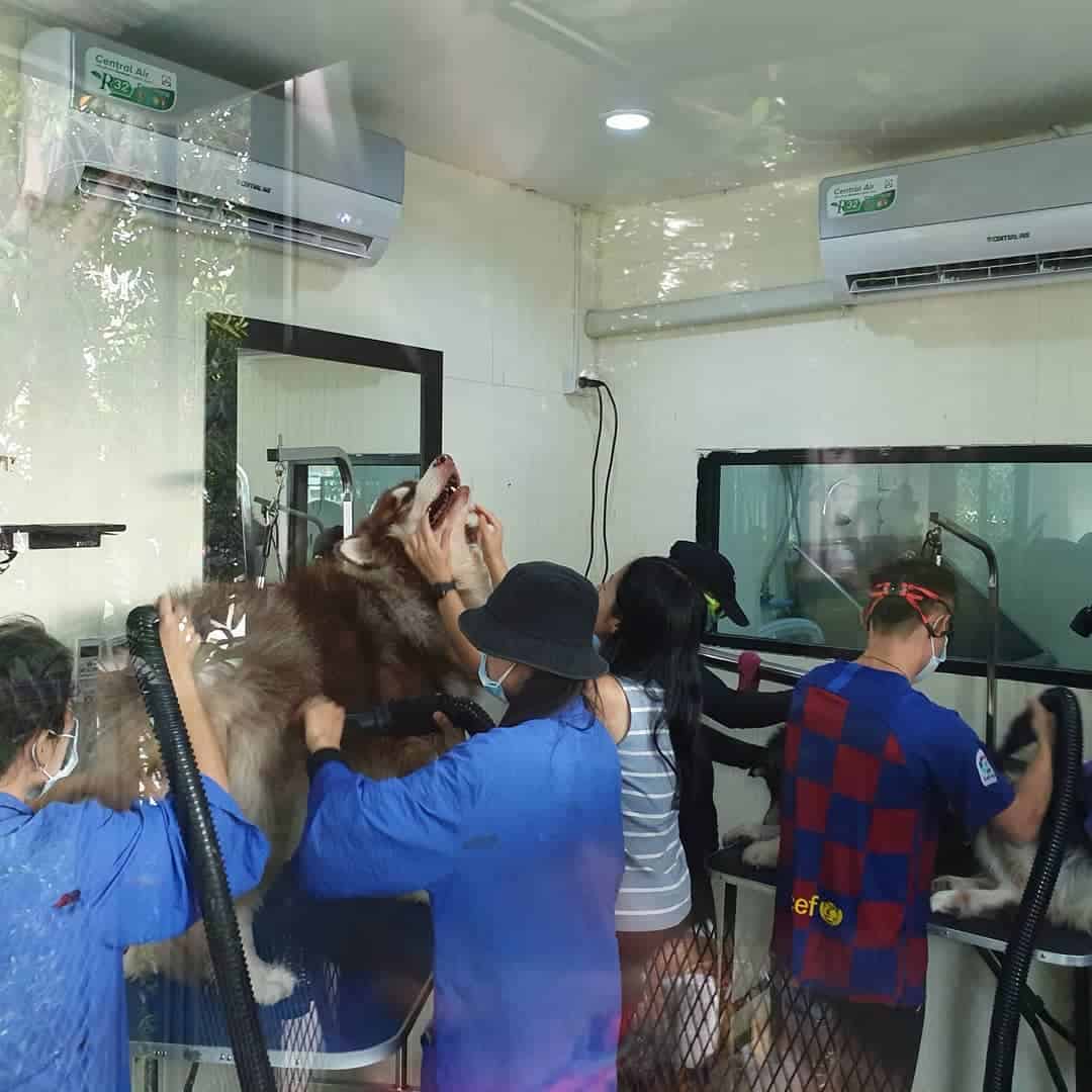 Hug Mha ฮักหมา (รามอินทรา) 5