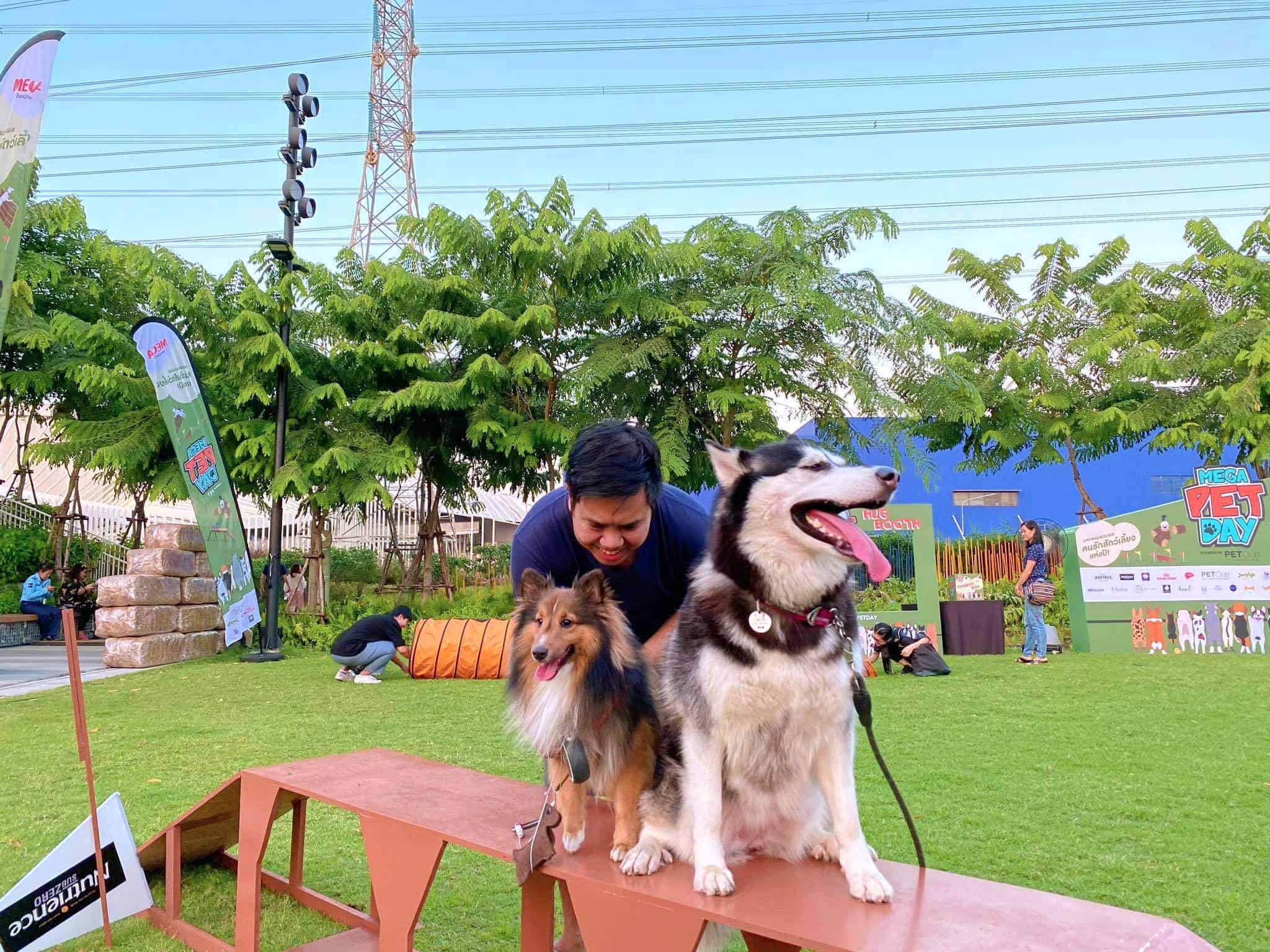 75552972_2767165453346506_3891347576854675456_o Mega Park (Megabangna เมกาบางนา) 4