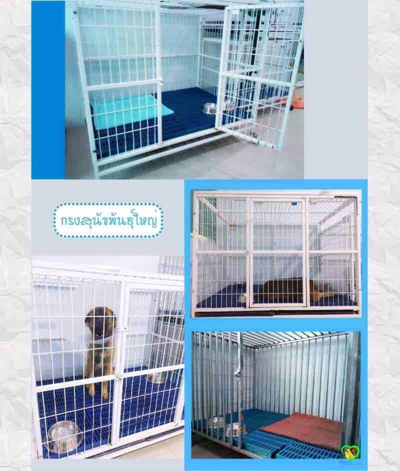 Mister Pet Animal Hospital 2