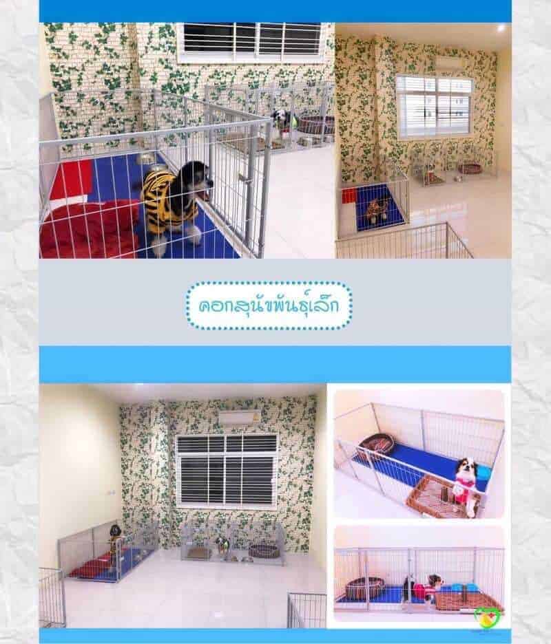 Mister Pet Animal Hospital 3