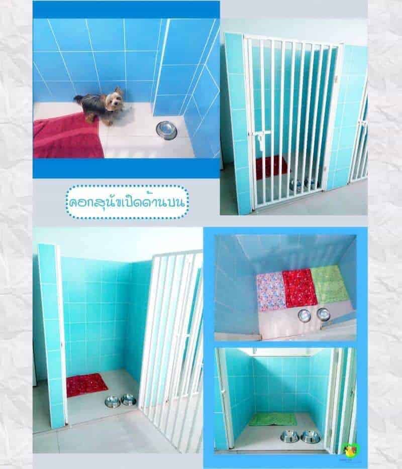 Mister Pet Animal Hospital 5