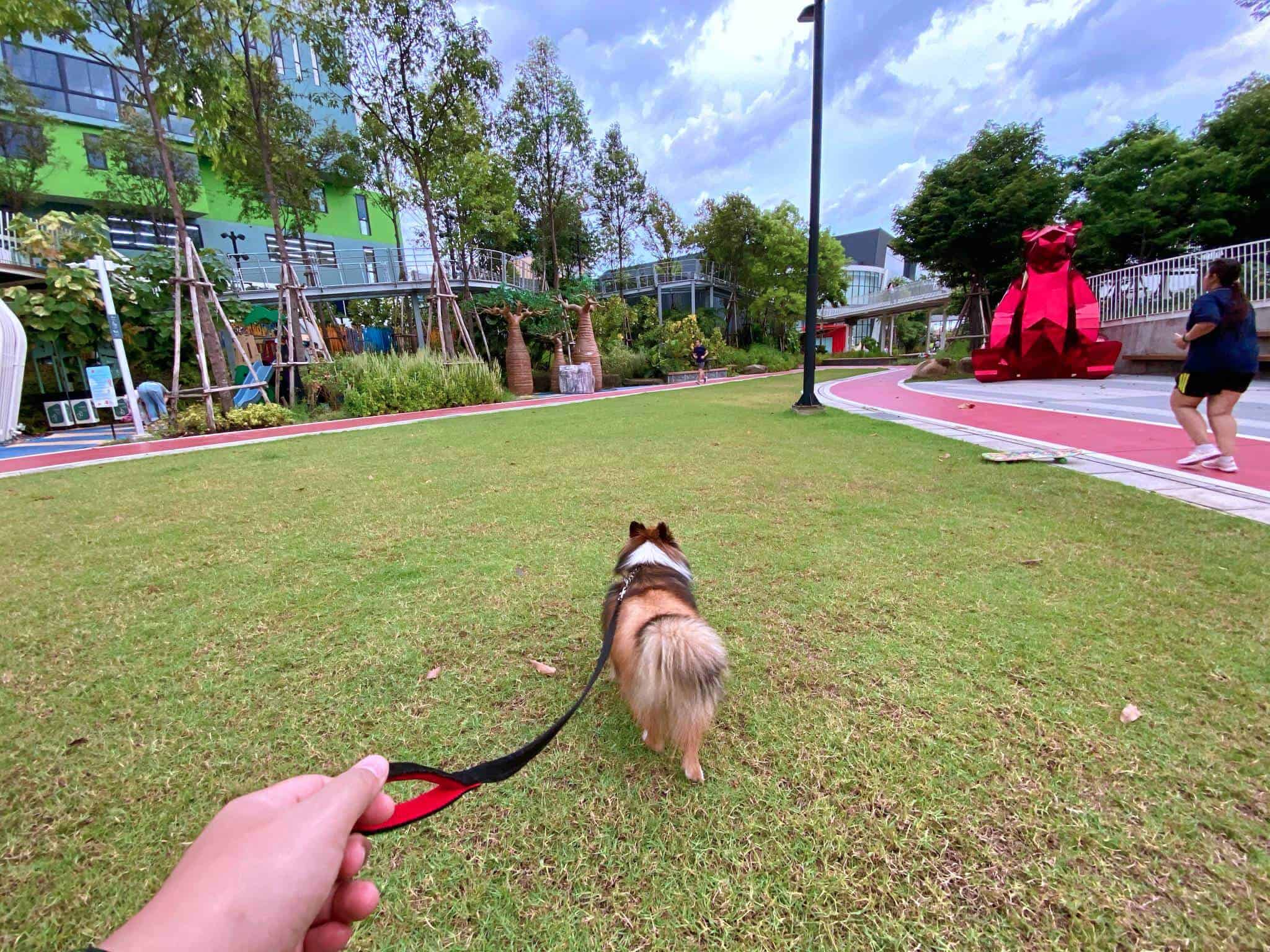 IMG_6610 Mega Park (Megabangna เมกาบางนา) 9