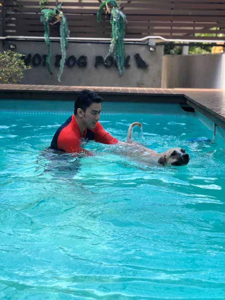 Hotdog Groom and Pool 6