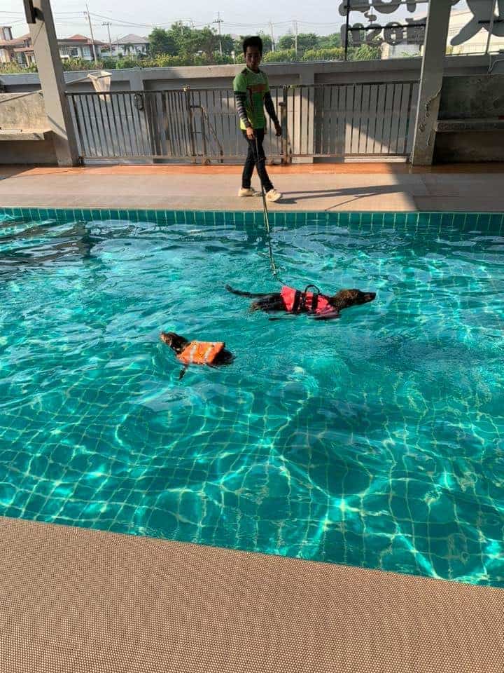 MahzonResort 6