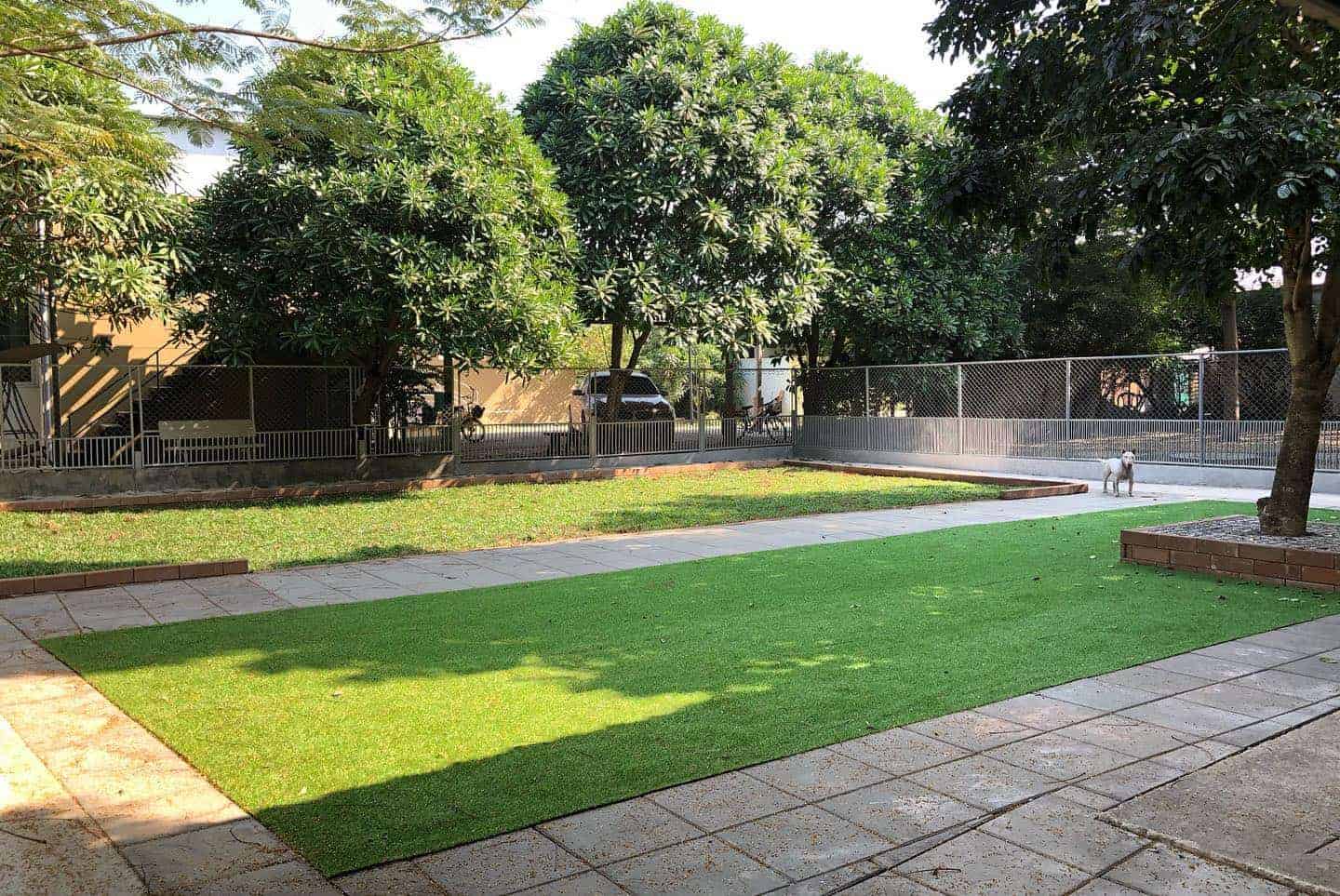 Dogplayground 5