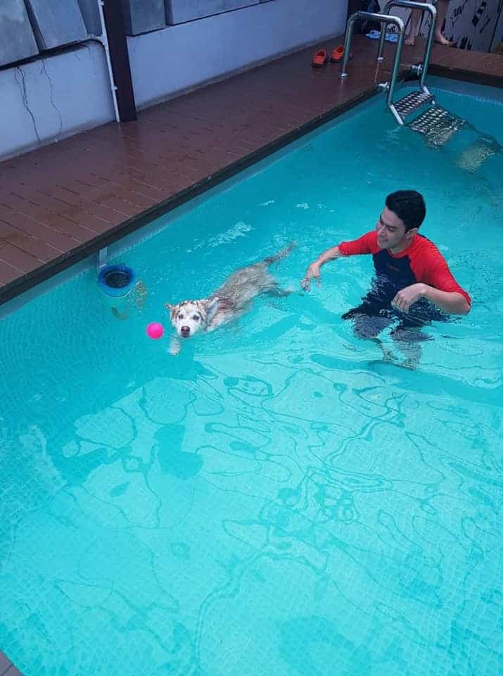 Hotdog Groom and Pool 5