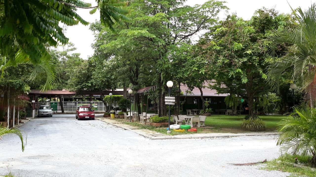 Pet Paradise Park 4