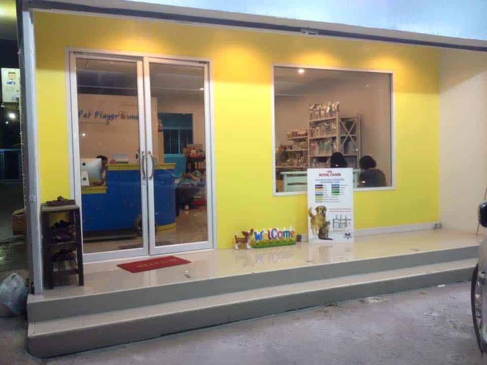 Pet Playground The Veterinary Center 2