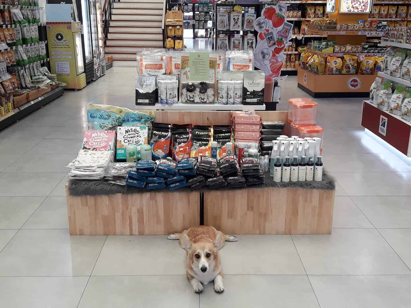 PET KINGDOM 2