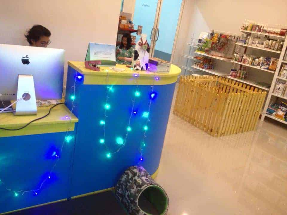 Pet Playground The Veterinary Center 1