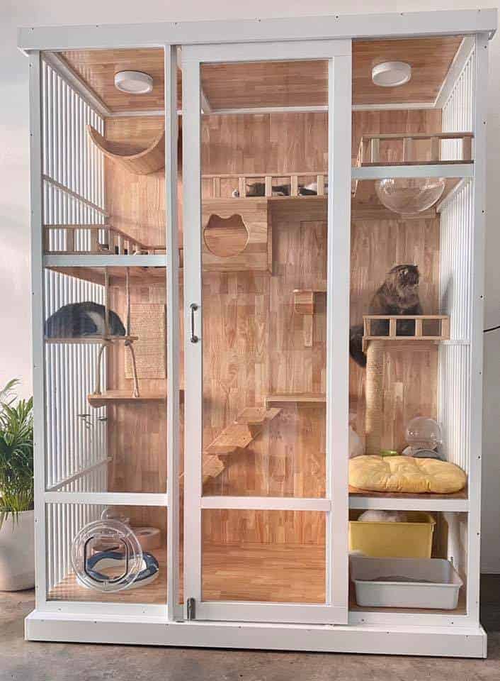 Purrfect CATS Hotel 5