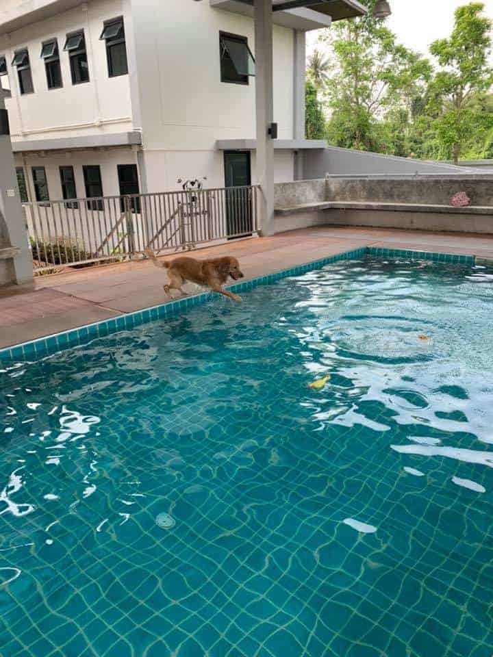 MahzonResort 3