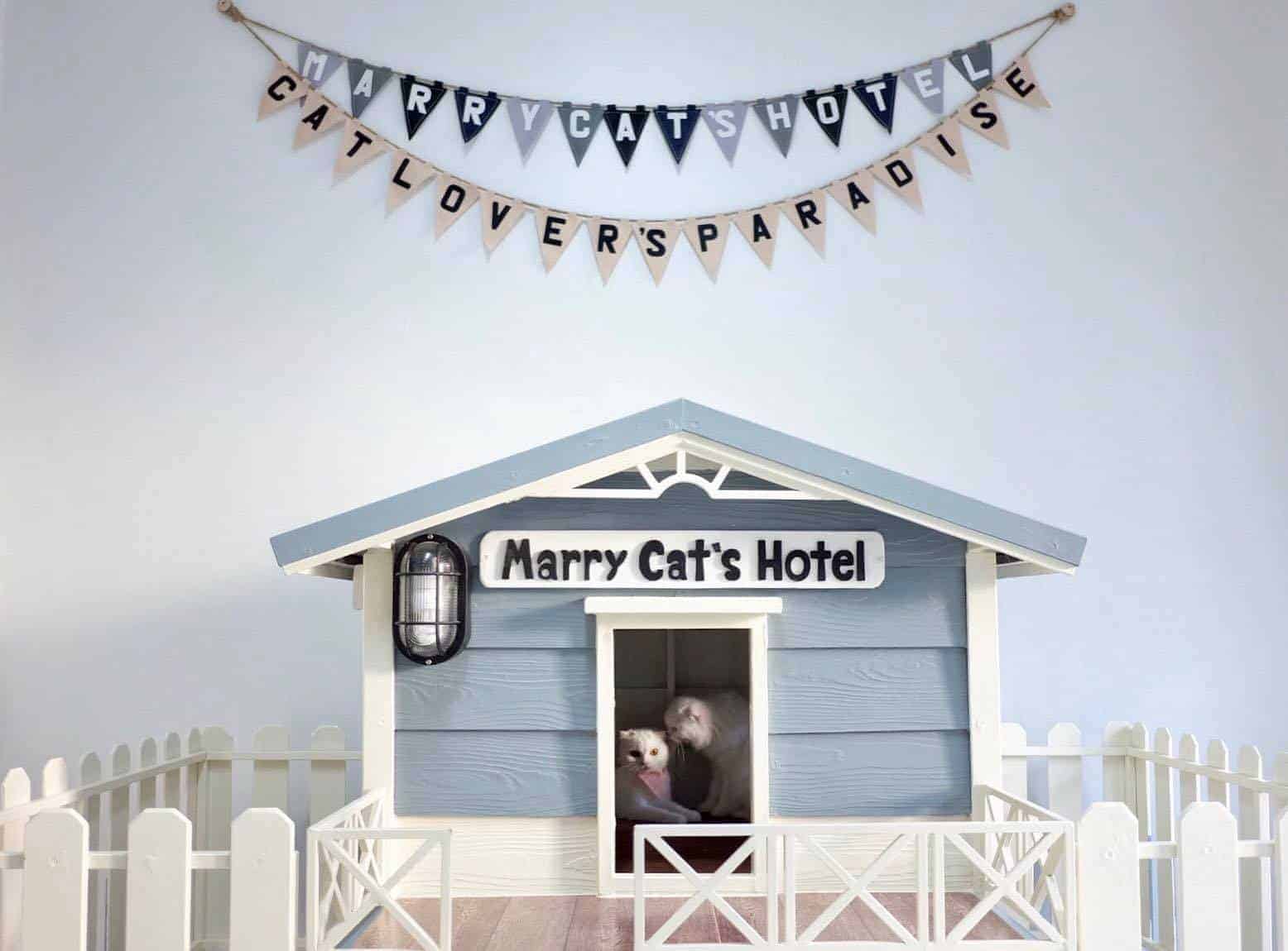Marry Cat's Hotel 4