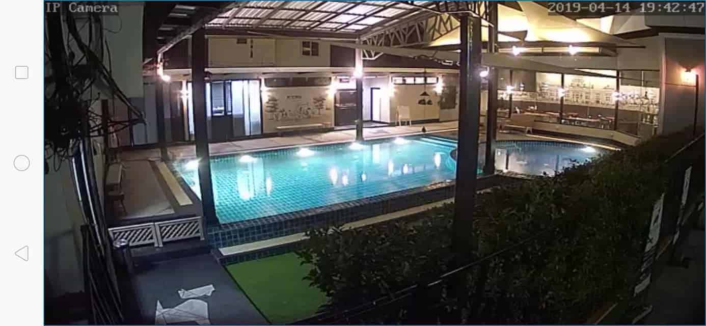Petopia Dog Pool 3