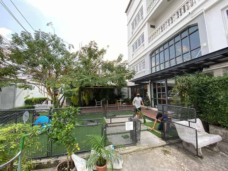 Dog's Tale Bangkok 6