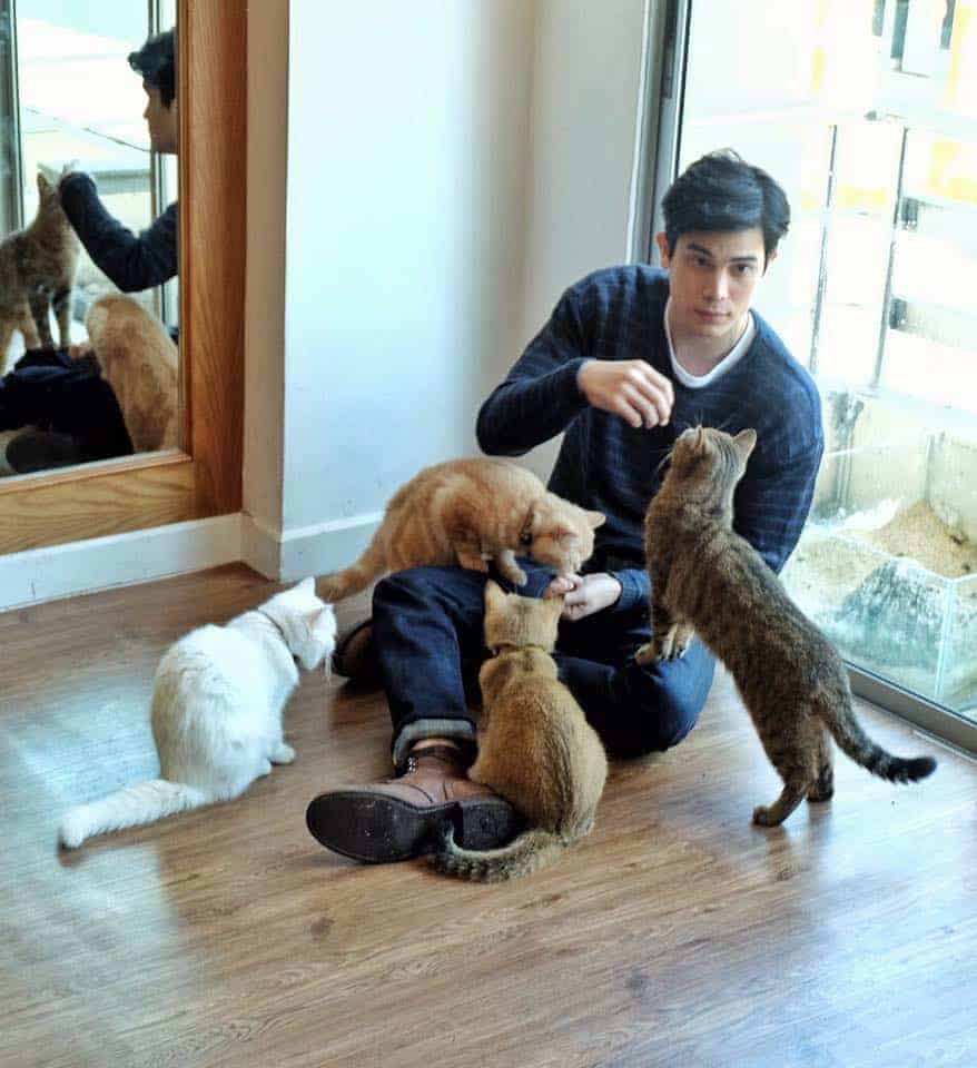 The Animal Cafe Restaurant 3