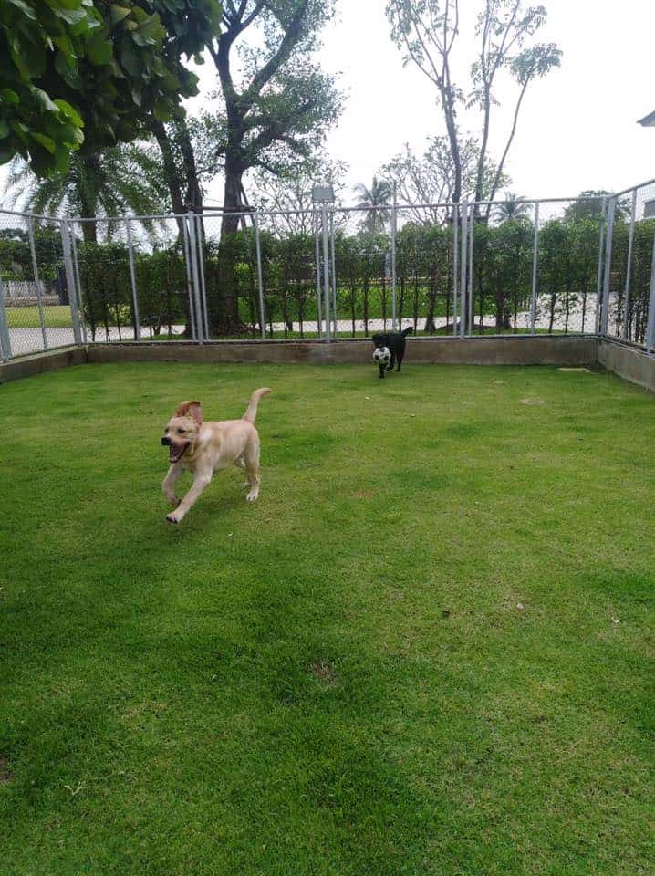 MahzonResort 2