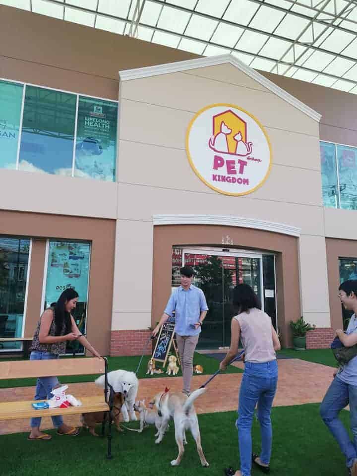 PET KINGDOM 6