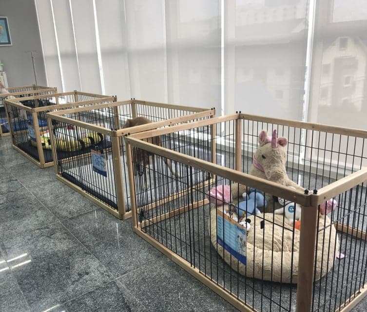 โรงพยาบาลสัตว์ทองหล่อ เชียงใหม่