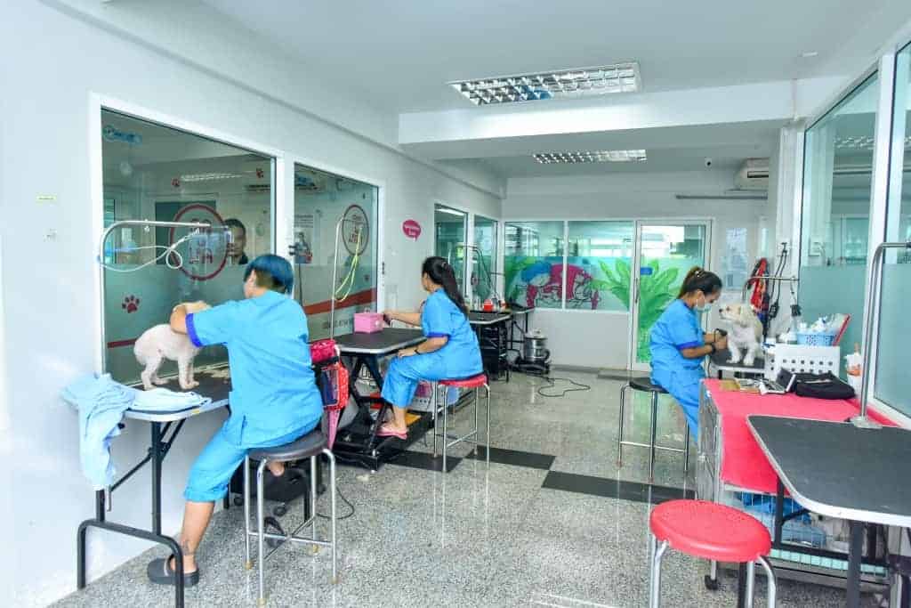 โรงพยาบาลสัตว์ทองหล่อ สาขาประดิษฐ์มนูธรรม
