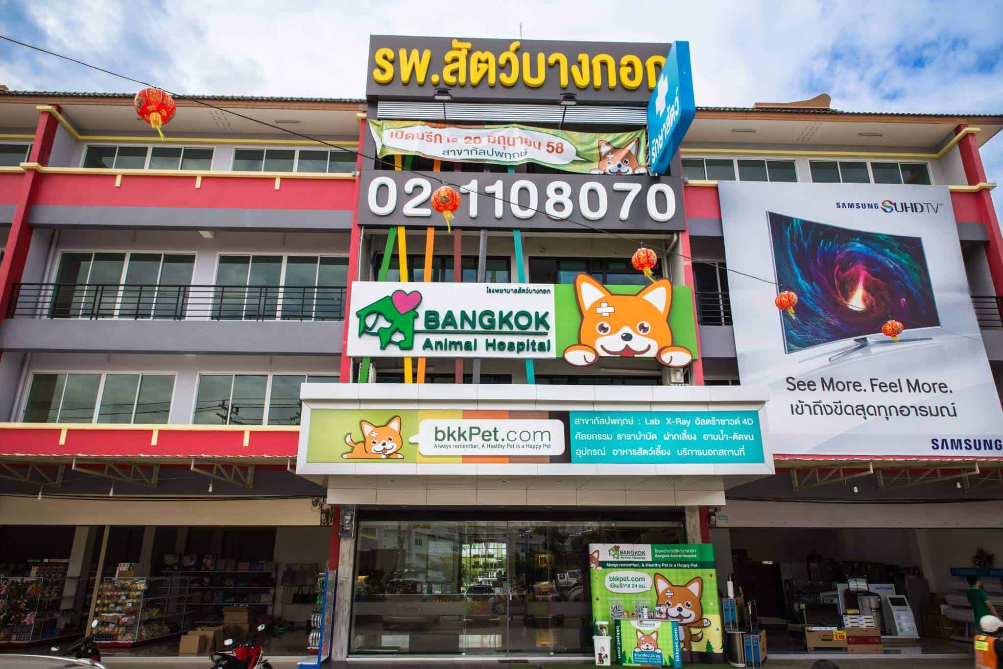 โรงพยาบาลสัตว์บางกอก (กัลปพฤกษ์) Bangkok Animal Hospital (Kallapaphruk) 1