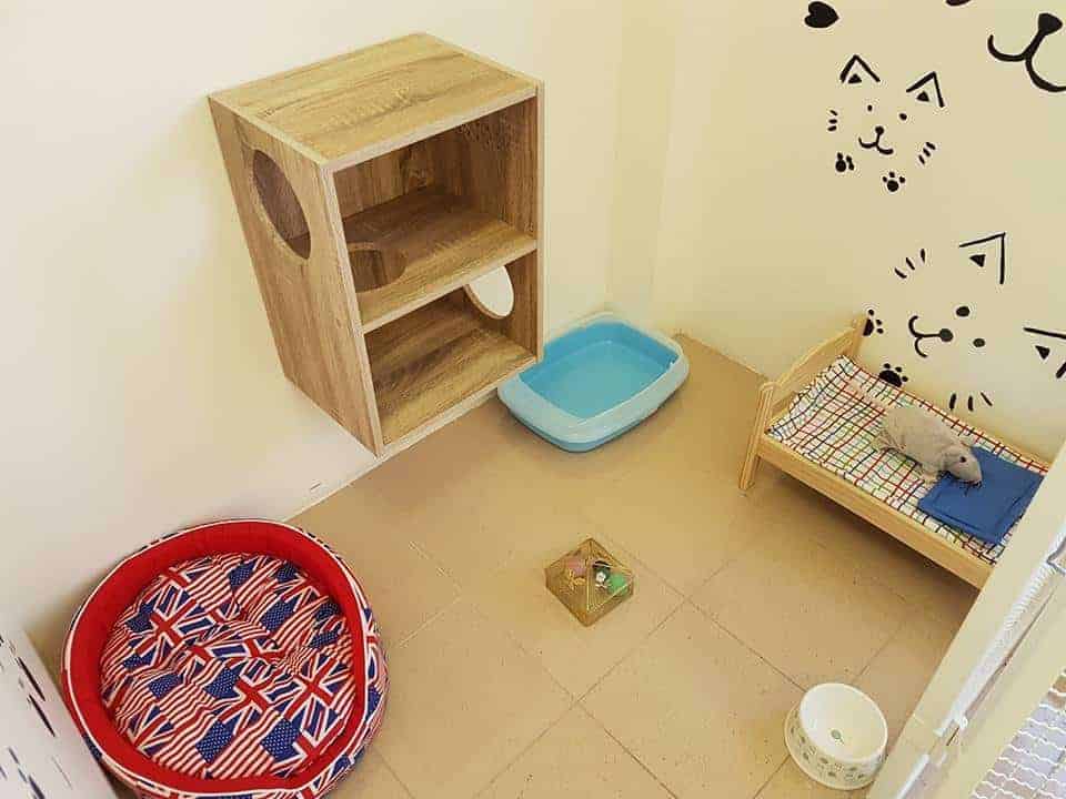 บ้านฮักแมว 2