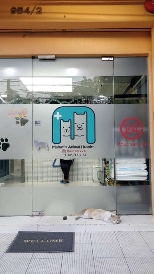 Mahasin Vet Hospital 4