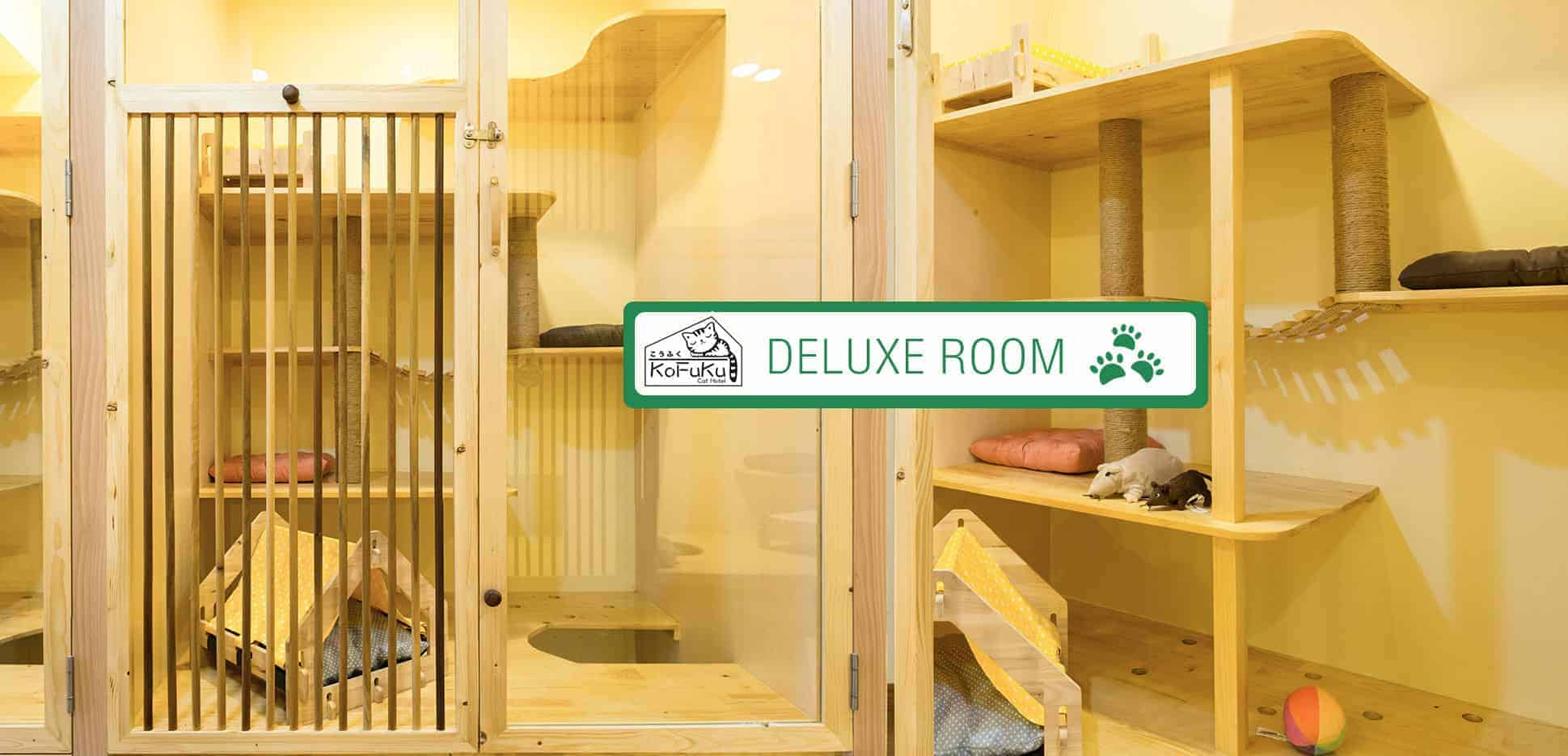 Kofuku Cat Hotel 3