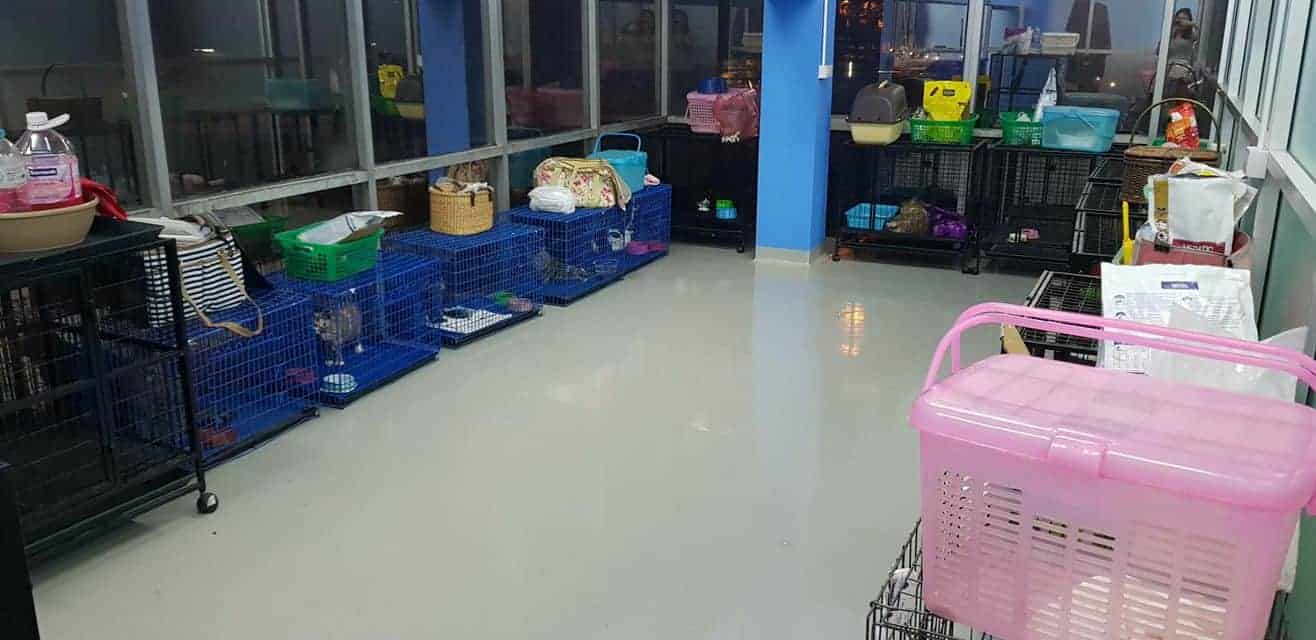 โรงพยาบาลสัตว์มีสุข 5