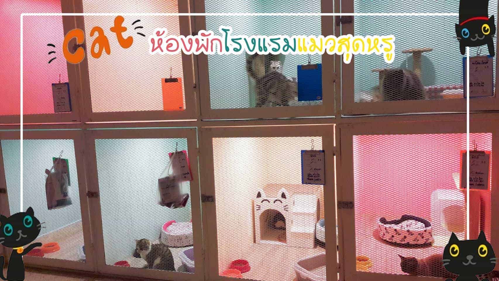 โรงพยาบาลสัตว์เฉลิมพระเกียรติ