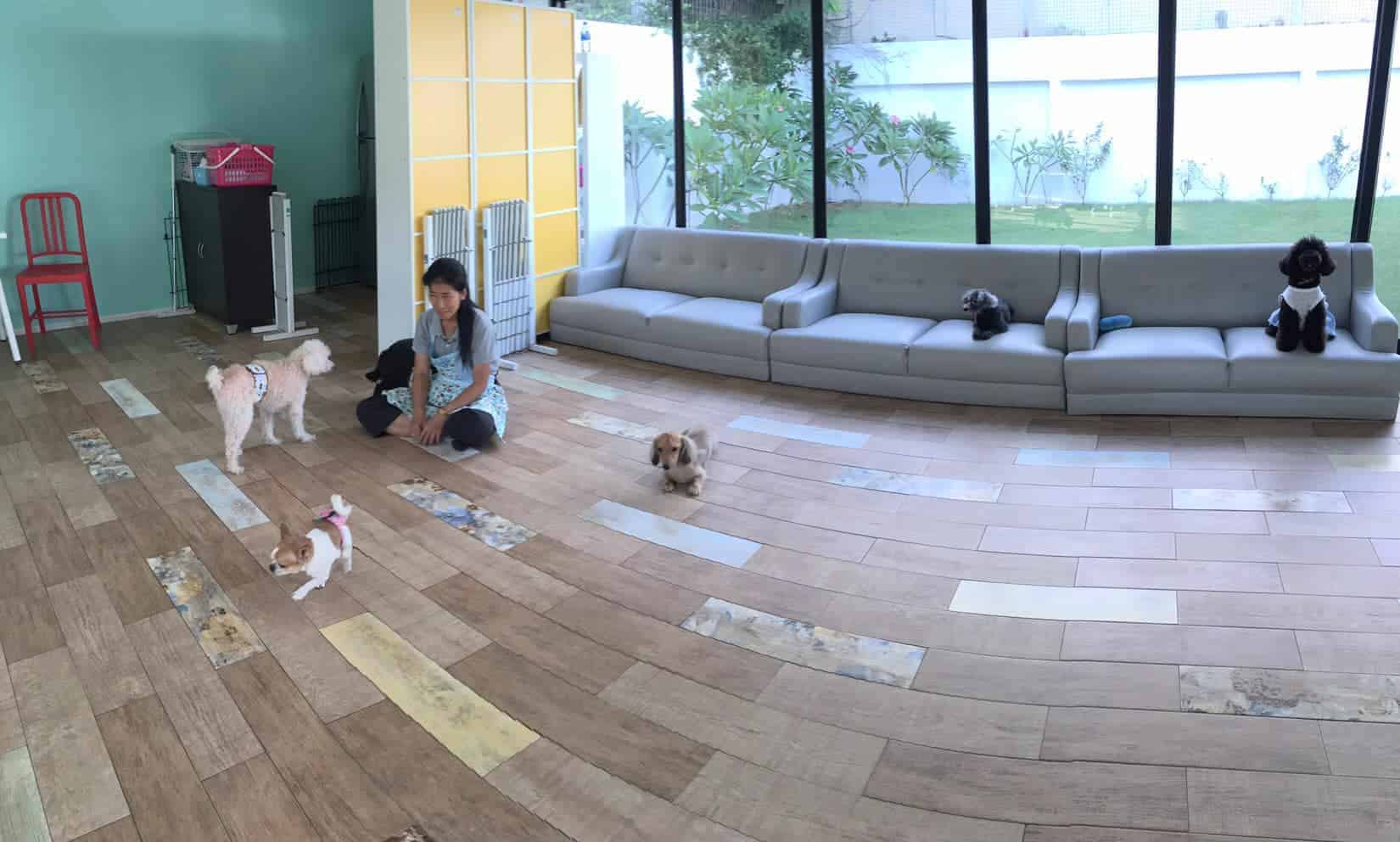 Twinkle Pet Park 3