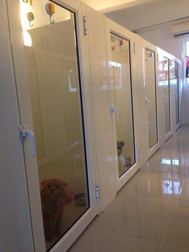 โรงพยาบาลสัตว์เพ็ทโตะ
