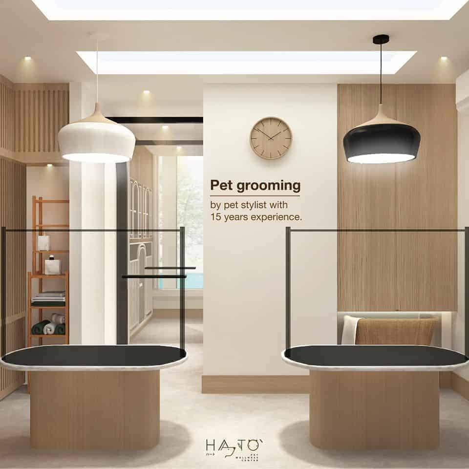 Hato Pet Wellness Center 3