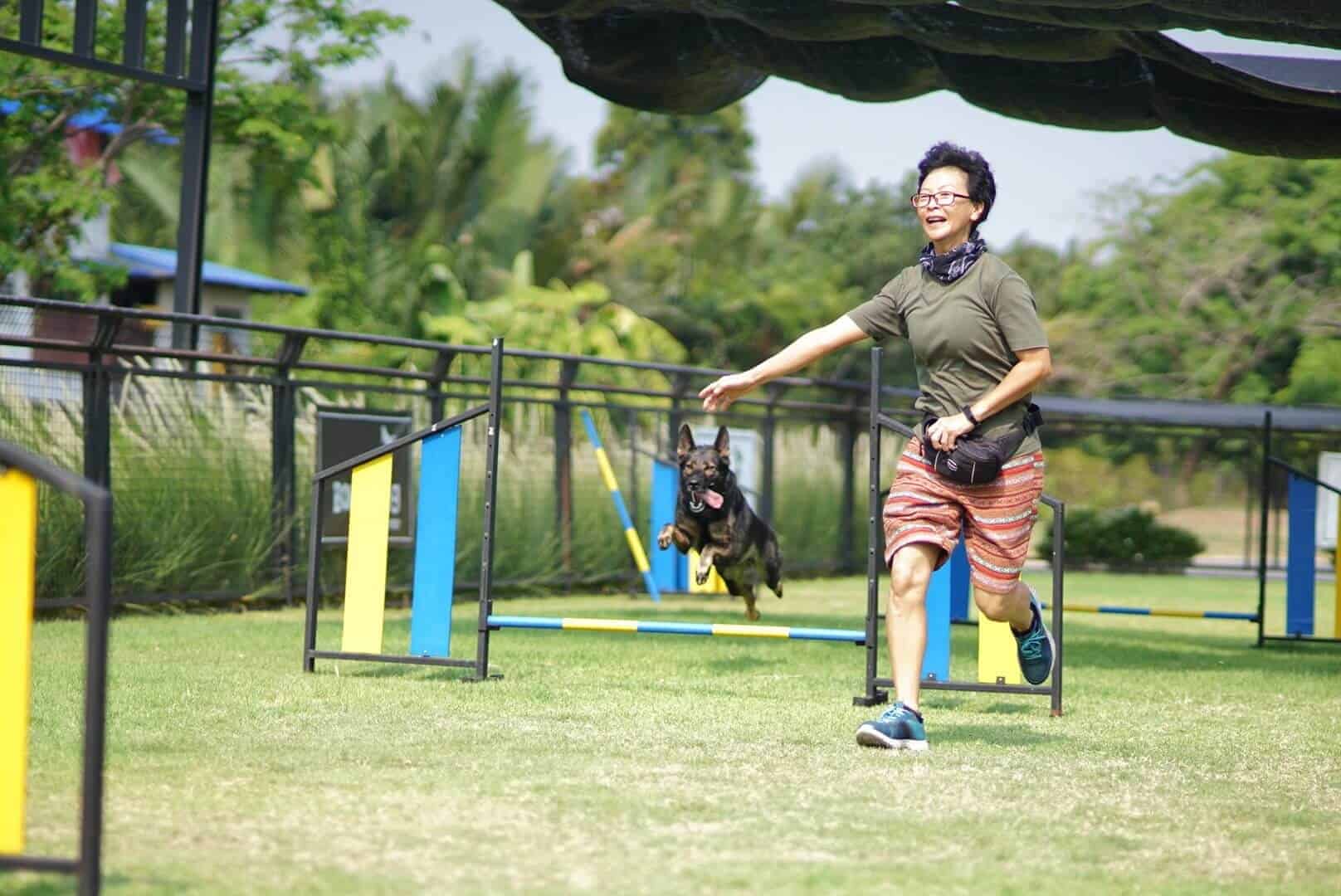Bounce Dog Sport Center 4