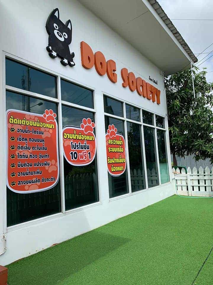 Dog Society 1
