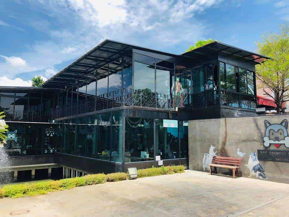 Dog Country Cafe 1