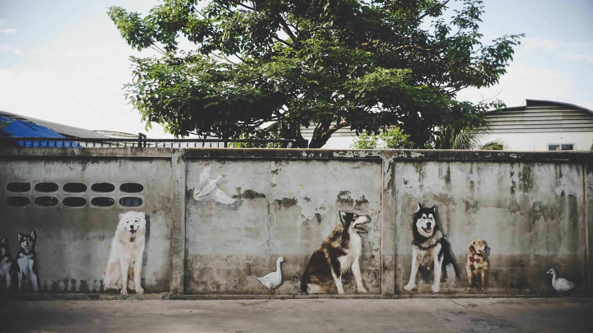 Dog Country Cafe 2