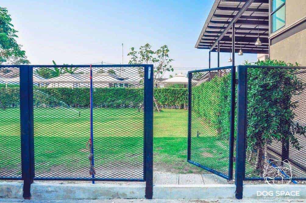 Dog Space Bkk 3