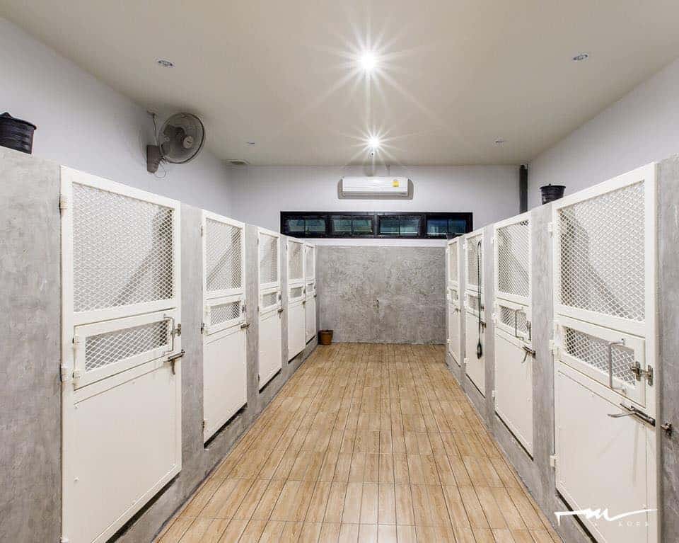 Dog Space Bkk 5