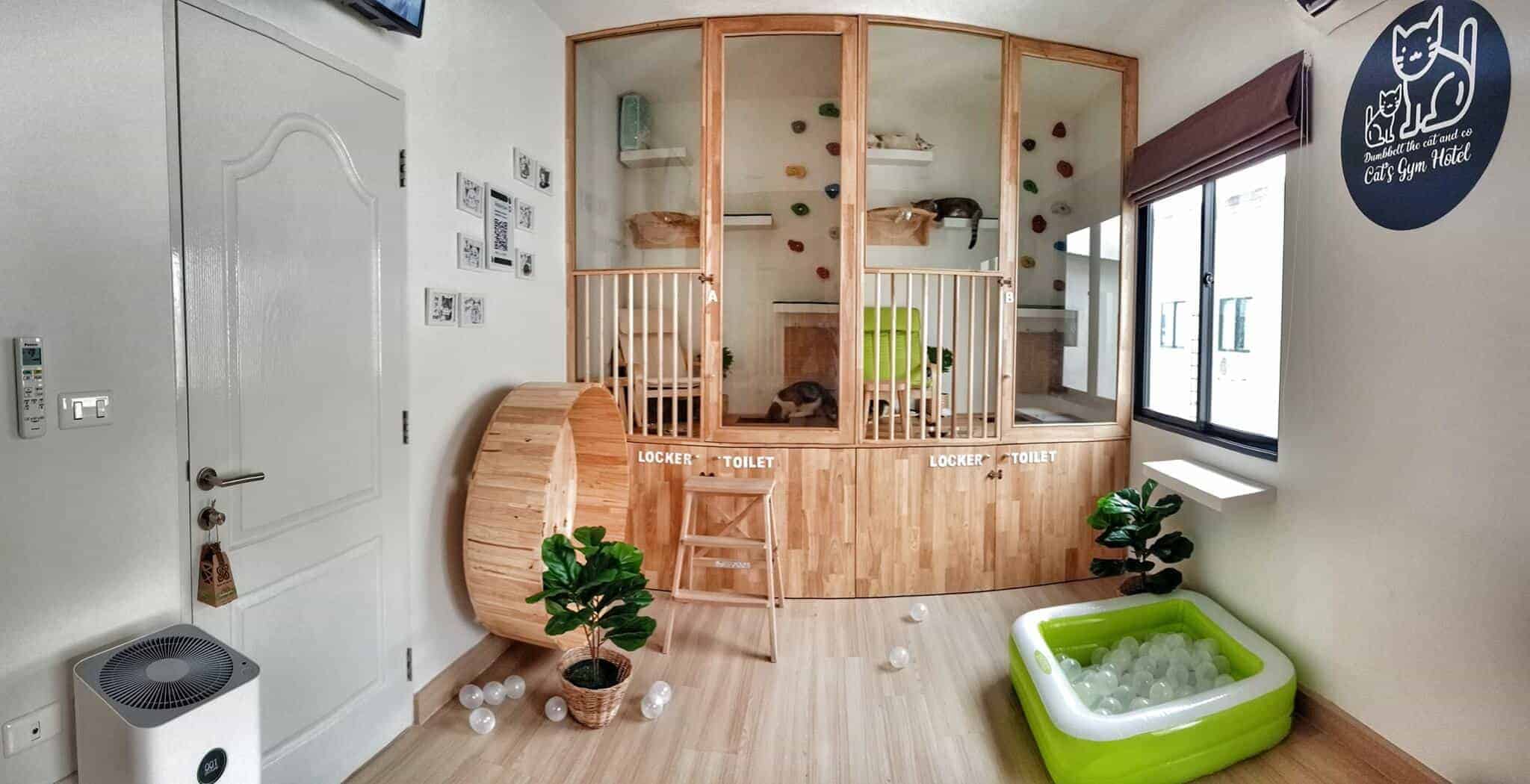 Cat's Gym Hotel (โรงแรมแมว แคทส์ จิม) 1