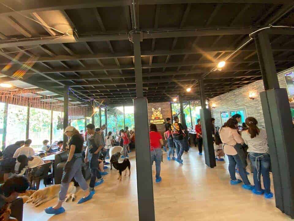 Dog Country Cafe 6