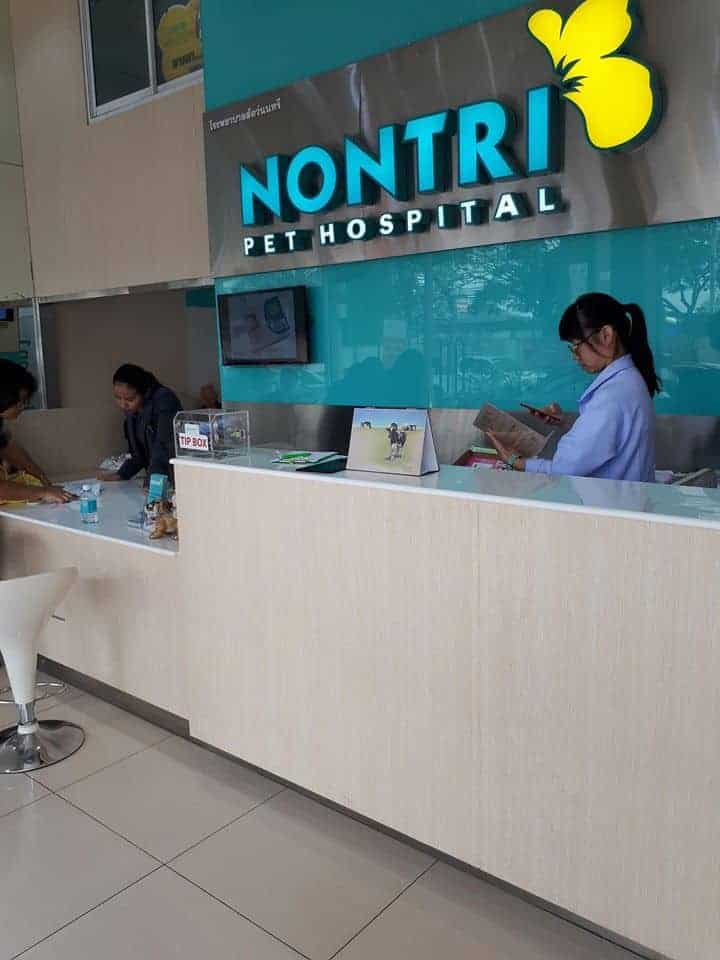 โรงพยาบาลสัตว์นนทรี ศูนย์โรคระบบประสาทสัตว์เลี้ยง (บางเขน) 2