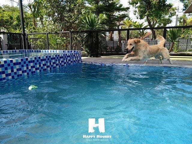 Happy Houndy 2