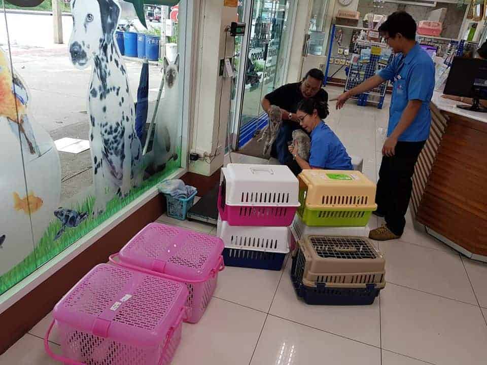 โรงพยาบาลสัตว์เมืองเอก (คลองสี่ ลำลูกกา) 3