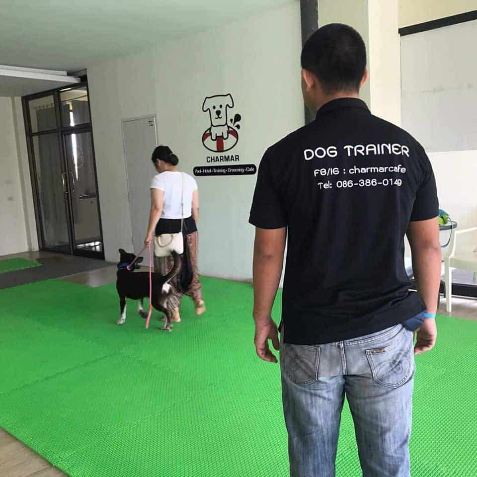 Charmar Cafe & Dog services 6