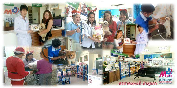 โรงพยาบาลสัตว์เมืองเอก (คลองสี่ ลำลูกกา) 5