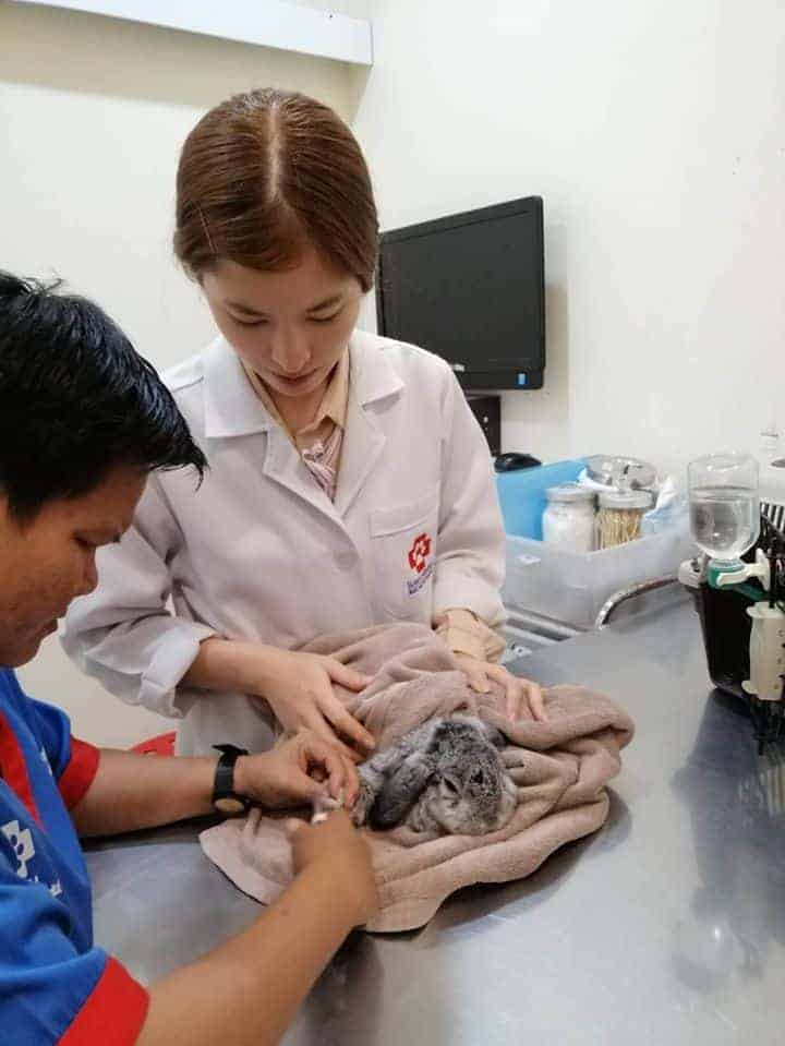 โรงพยาบาลรักษ์สัตว์ 5