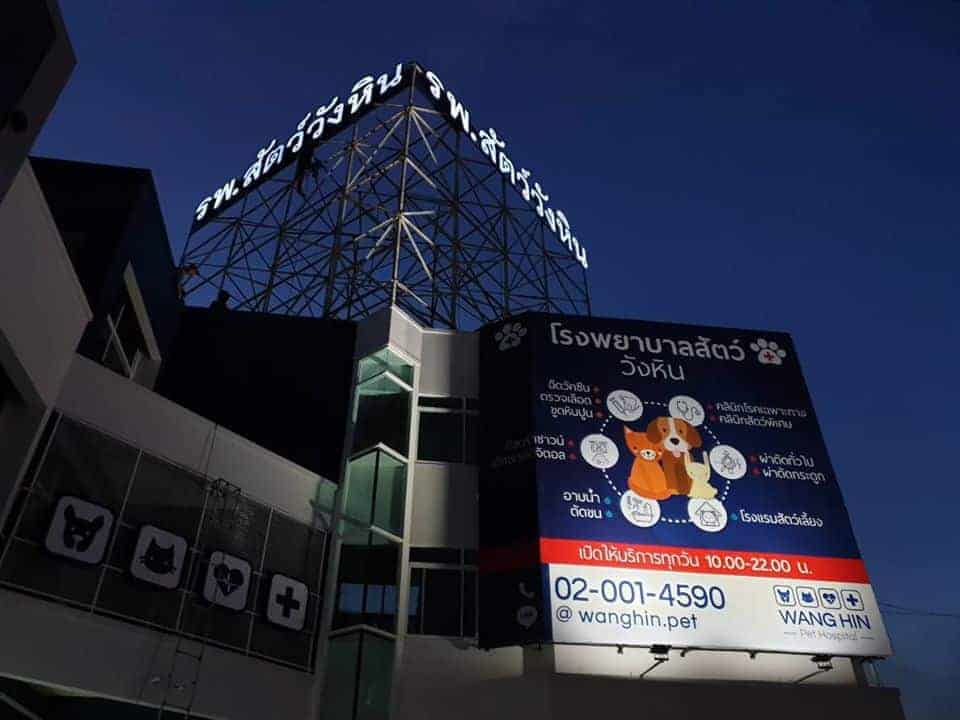 โรงพยาบาลสัตว์วังหิน 4