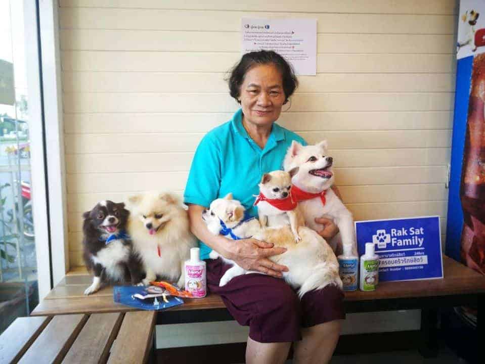 โรงพยาบาลรักษ์สัตว์ 6